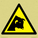 w034-warning-bull~